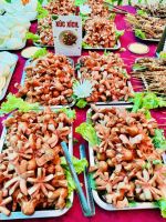 563104289 1520535998985121 4871395752455753975 N