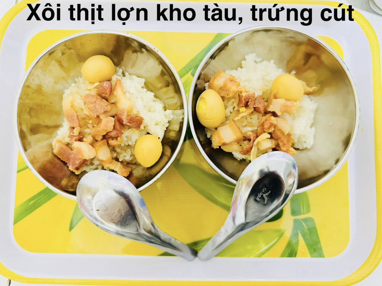 533135525 1466565614382160 9072811191607655414 n